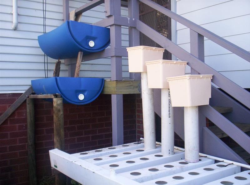 Aquaponics Project 089 (Medium).jpg