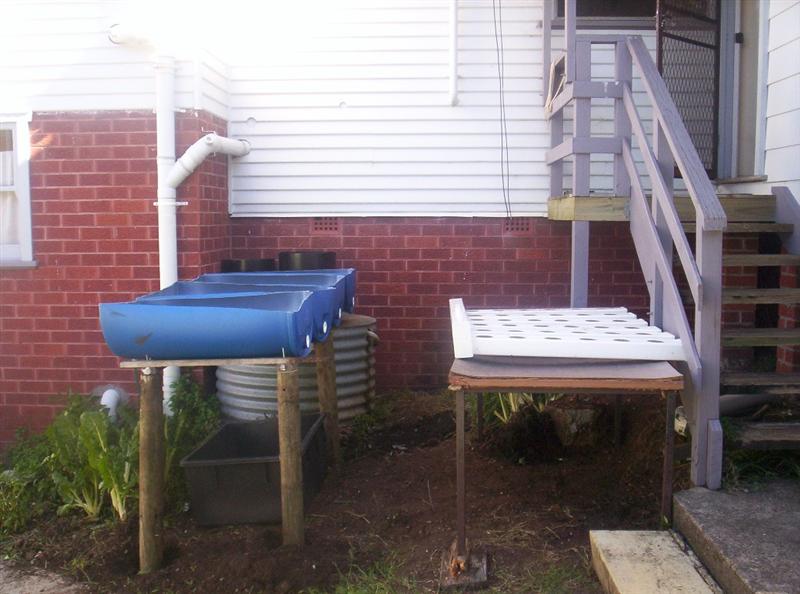 Aquaponics Project 086 (Medium).jpg