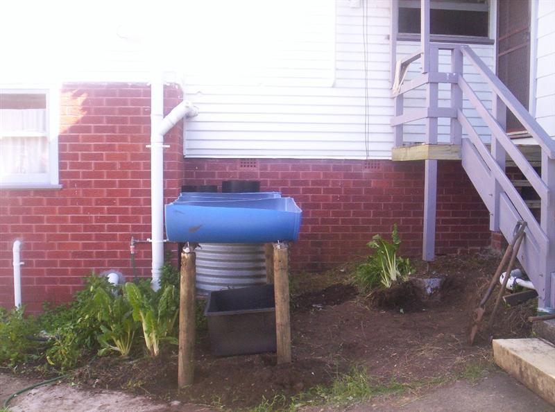 Aquaponics Project 085 (Medium).jpg