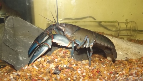 Dec 2013 Jan 2014 088 (640x360) (600x338).jpg