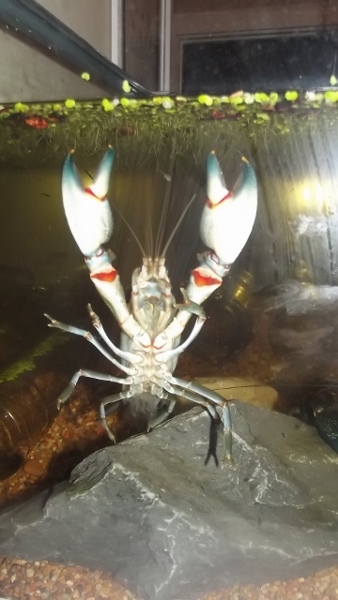 Dec 2013 Jan 2014 089 (360x640) (338x600).jpg