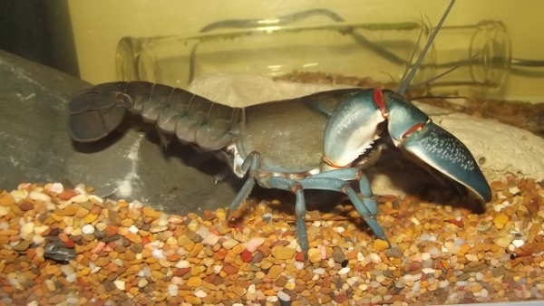 Dec 2013 Jan 2014 093 (640x360) (600x338).jpg