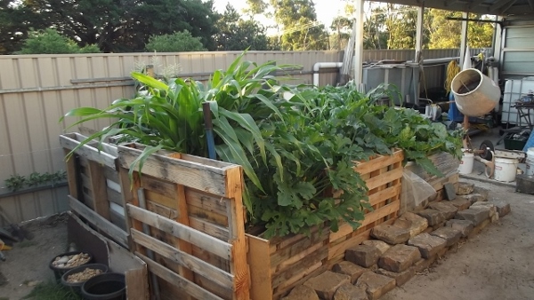 Dec 2013 Jan 2014 097 (640x360) (600x338).jpg