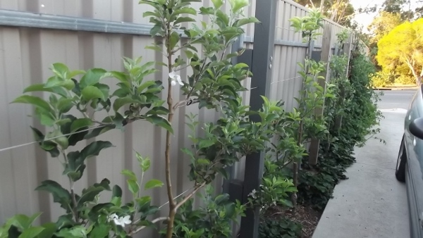 Dec 2013 Jan 2014 105 (640x360) (600x338).jpg