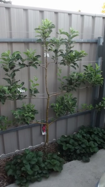 Dec 2013 Jan 2014 106 (360x640) (338x600).jpg