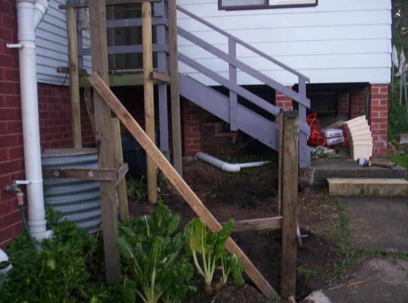 Aquaponics Project 092 (Medium).jpg