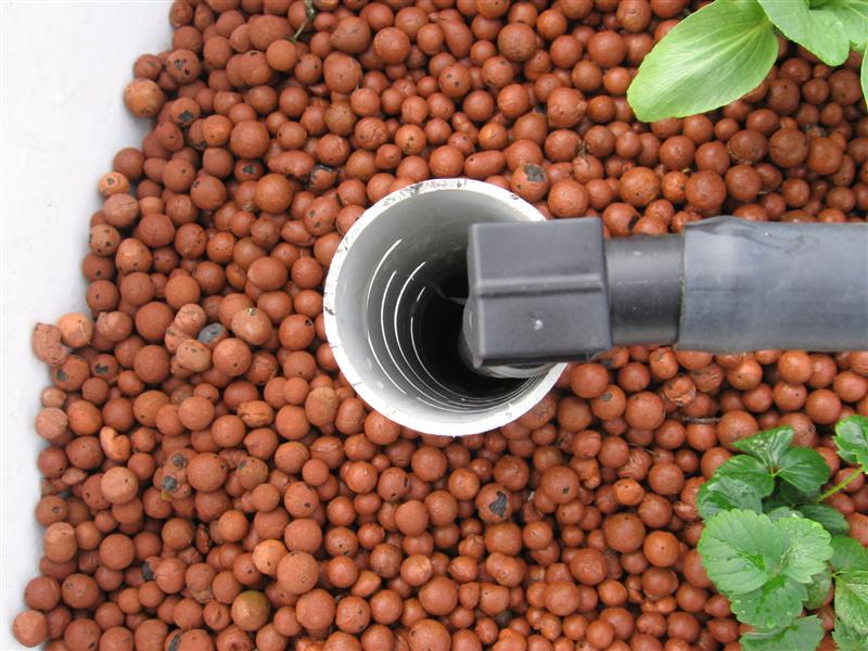 newbed 001 (Medium).jpg