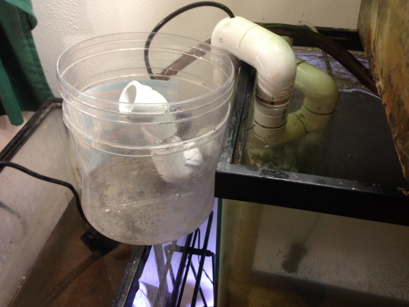 IMG_1218 (800x600).jpg