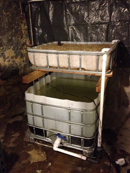 2014-01-08 22.45.21.jpg