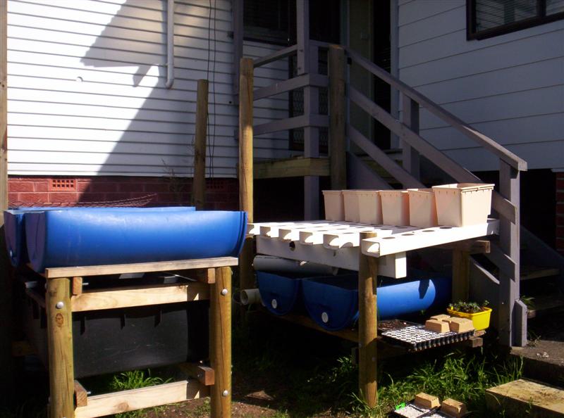 100_2158 (Medium).JPG