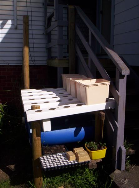 100_2159 (Medium).JPG