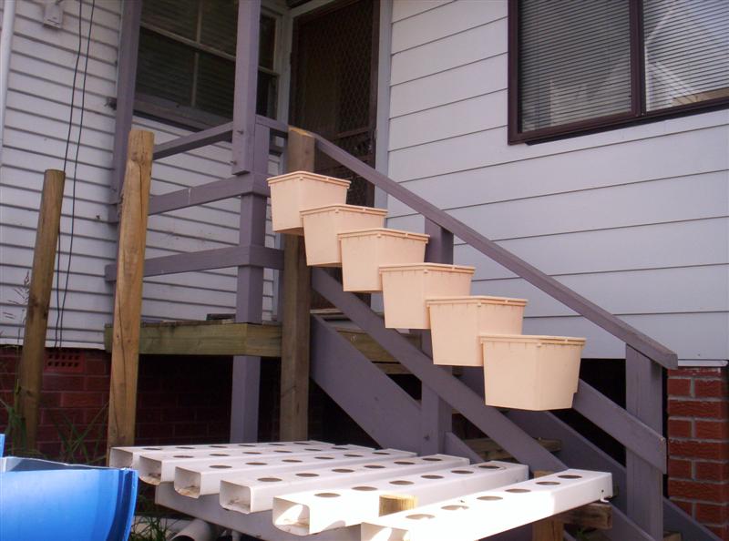 100_2160 (Medium).JPG