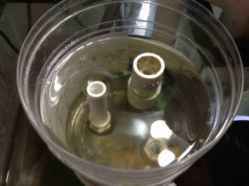 IMG_1221 (2) (800x600).jpg