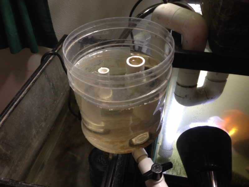 IMG_1220 (2) (800x600).jpg