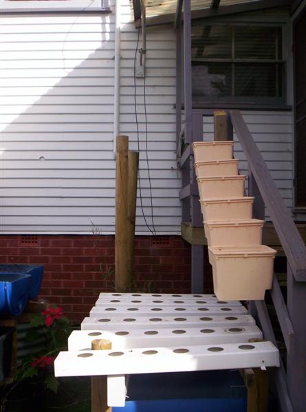 100_2161 (Medium).JPG