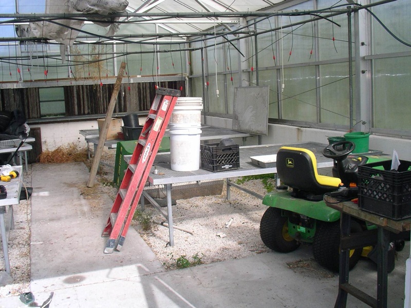 greenhouse 1.jpg