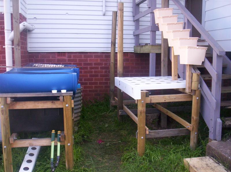 100_2164 (Medium).JPG