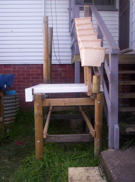 100_2165 (Medium).JPG