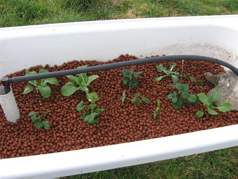 newbed 002 (Medium).jpg