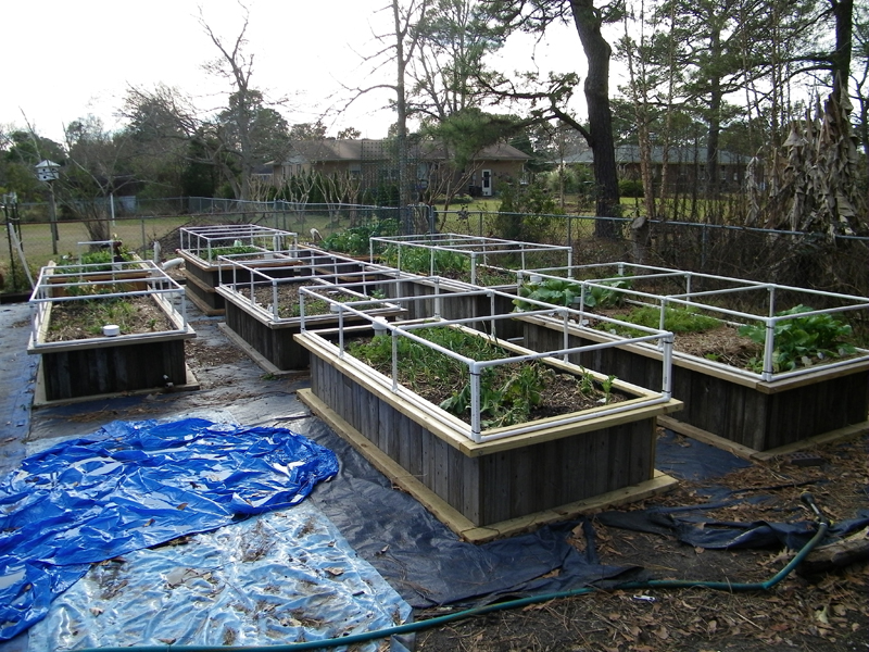 Wicking Bed Frost Frame 1.jpg