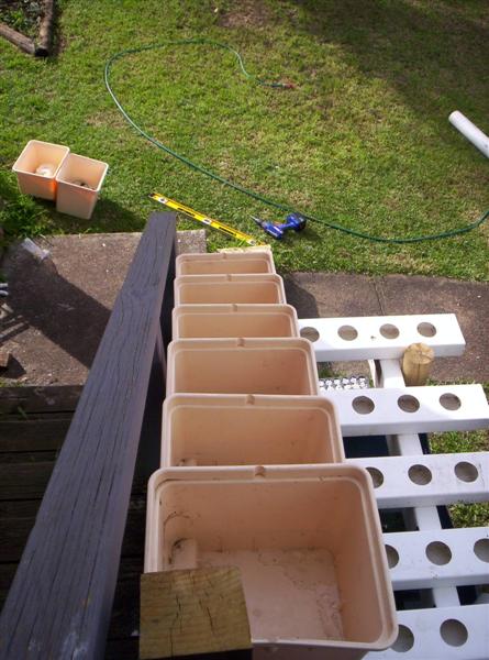 100_2168 (Medium).JPG