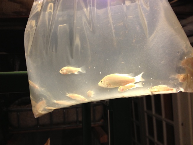 2014-01-16 12.46.04.jpg