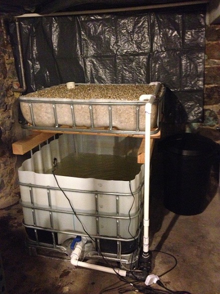 2014-01-16 20.43.29.jpg