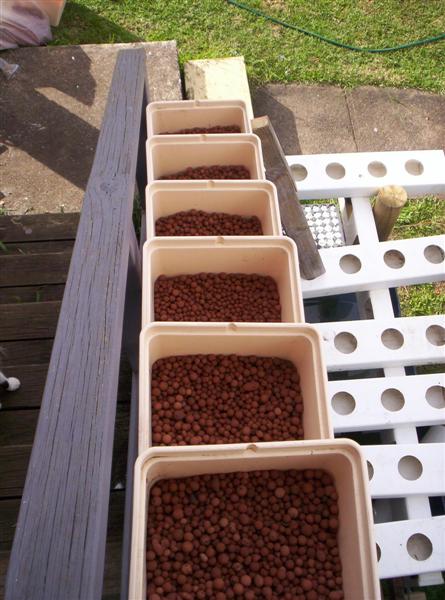 100_2169 (Medium).JPG