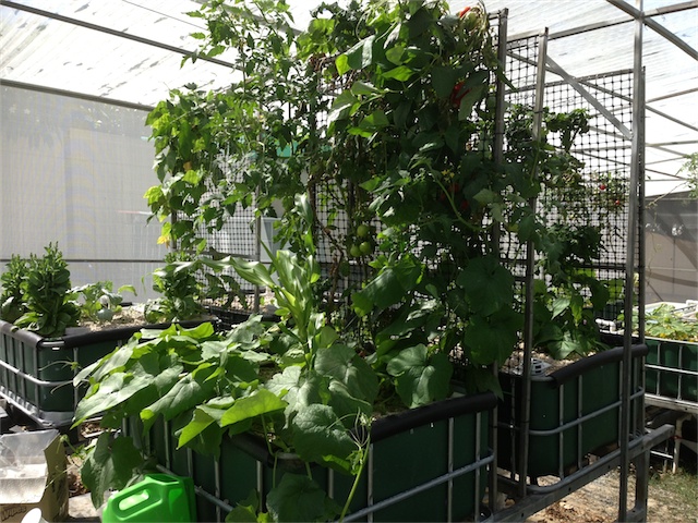 Update 17.01.14_004.jpeg