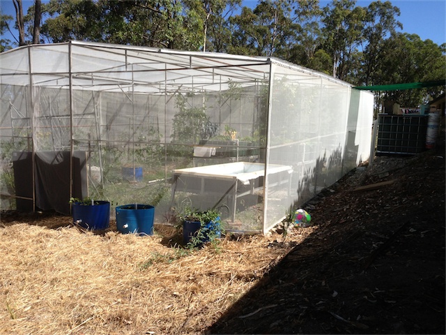 Update 17.01.14_005.jpeg