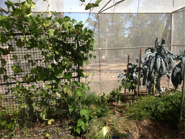 Update 17.01.14_002.jpeg