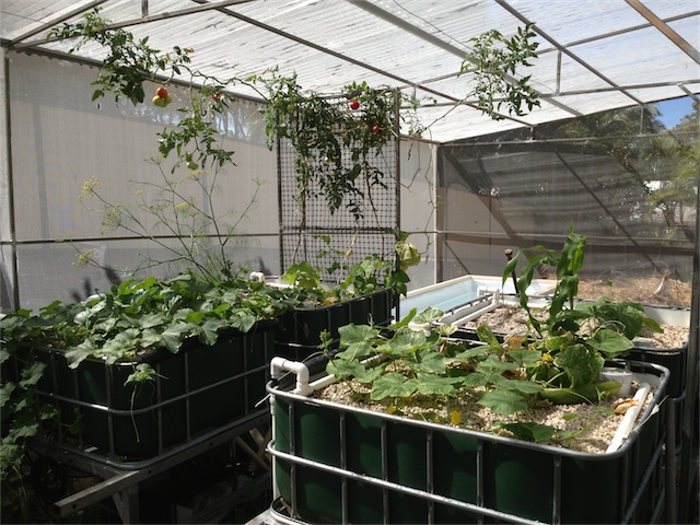 Update 17.01.14_003.jpeg