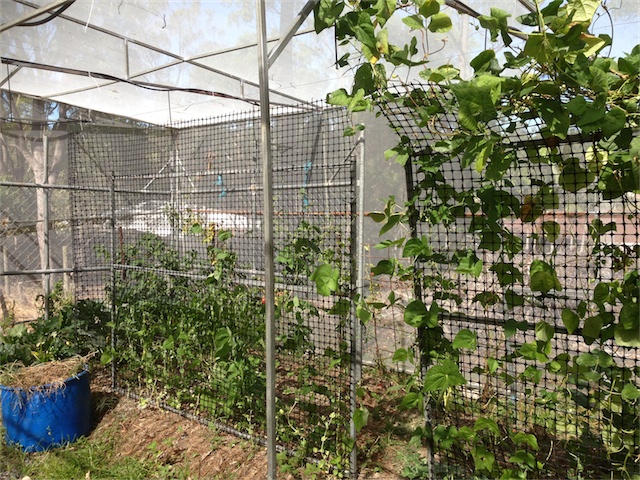 Update 17.01.14_001.jpeg