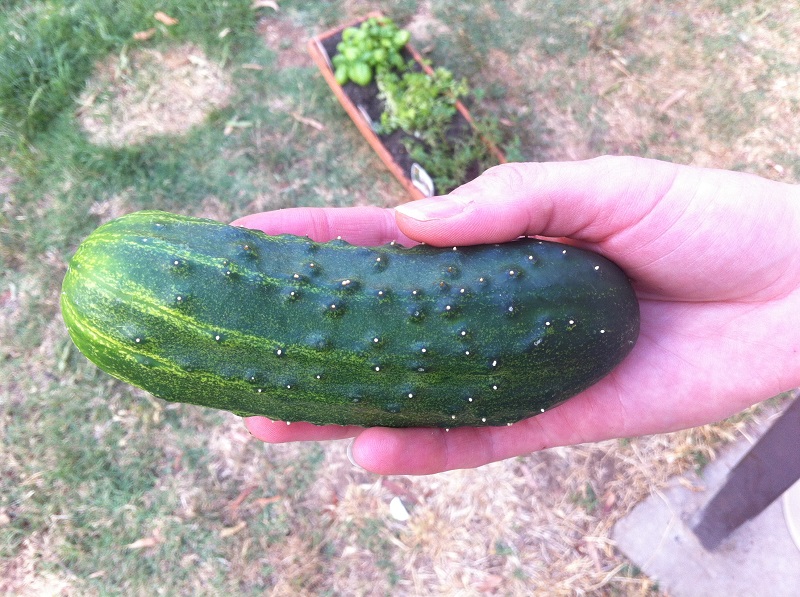 18012014 IMG_1452.jpg