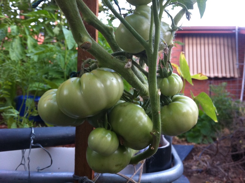 18012014 IMG_1455.jpg