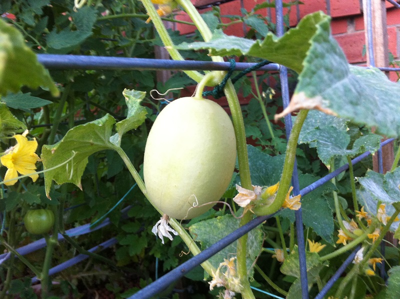 18012014 IMG_1462.jpg