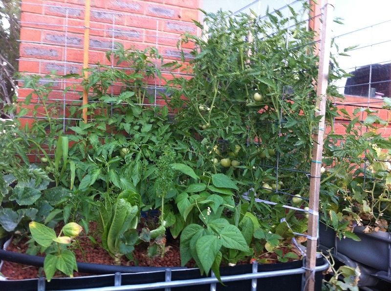 18012014 IMG_1456.jpg