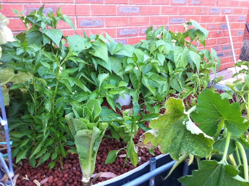 18012014 IMG_1460.jpg