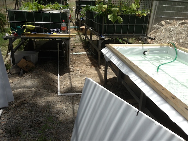 DWC Update 19.01.14_002.jpeg