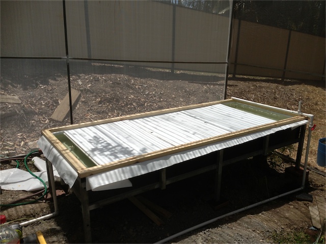 DWC Update 19.01.14_003.jpeg