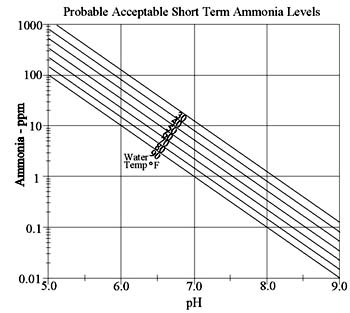 Ammonia chart.jpg