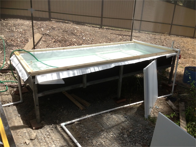 DWC Update 19.01.14_001.jpeg