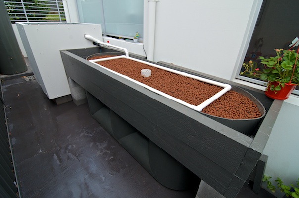 Aquaponics 19012014 005.jpg