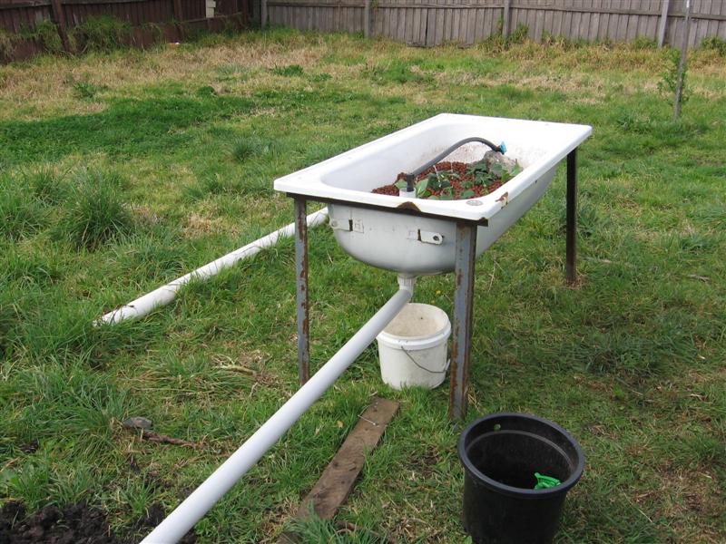 newbed 003 (Medium).jpg