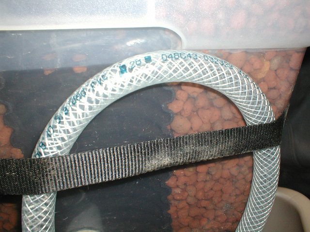 Low Speed Pump Equilibrium.jpg