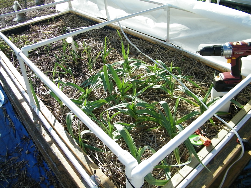 Wicking Bed light install 2.jpg