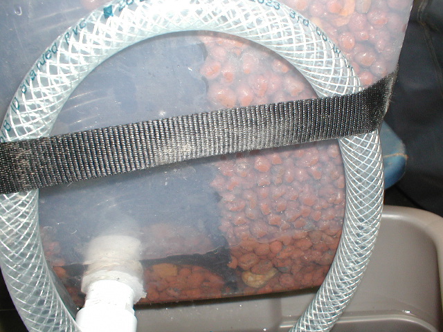 Quarter Speed Equilibrium.jpg