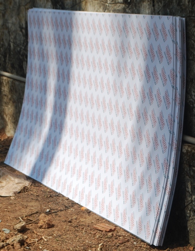 Kandanad Aquaponics unit installation updates 20012014 (4).JPG