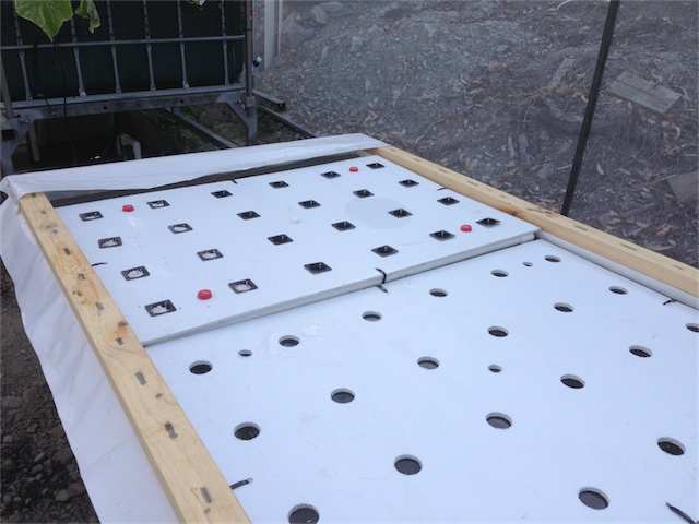 DWC & DW Pond 21.01.14_002.jpeg