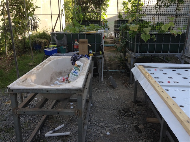 DWC & DW Pond 21.01.14_003.jpeg